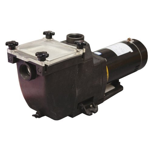 Blue Wave NE8171 Tidal Wave Replacement Pump 1.5 HP