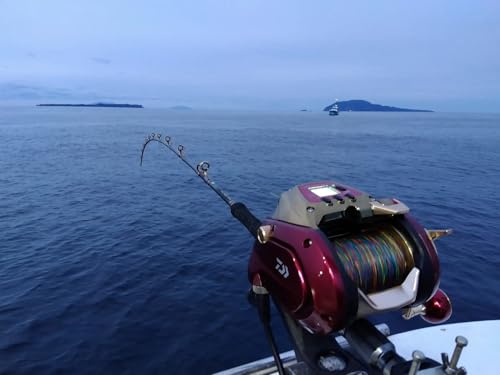 Daiwa Seaborg Power Assist Electric Reel 1800M-RJ Right Hand Red/Gold