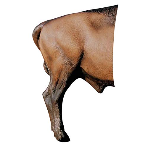 Delta McKenzie Bison Archery Target Replacement Rear Multicolor