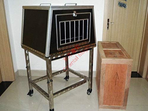 Oriental Magic Girl Appearing from Cage Magic Kit