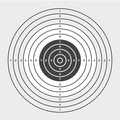 Wearable4U Hatsan Invader Auto .22 Cal Air Rifle Bundle with 250 Pellets & 100 Targets