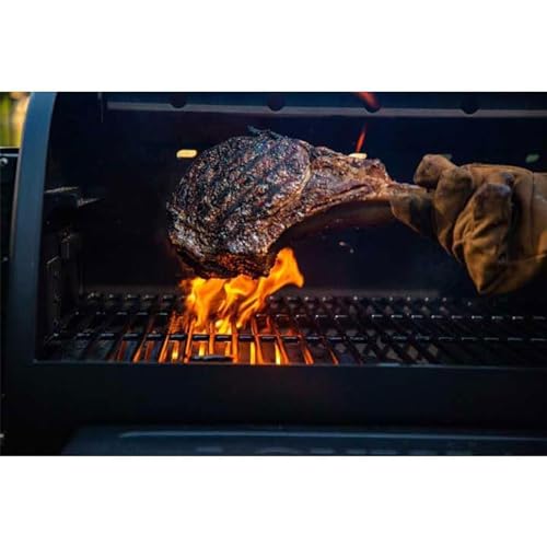 Louisiana Grills 800 Black Label Series Portable Pellet Grill Black