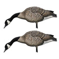 Avian-X AXP Honkers Full Body Canada Goose Decoys Pack - 4 Feeders & 2 Walkers, Flocked Heads, Ultra Realistic Paint Brown/Gray/White