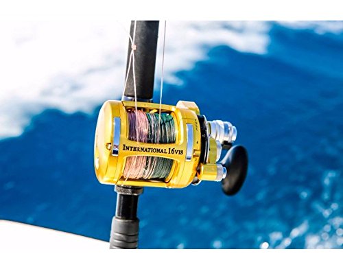 Penn Saltwater Lever Drag International 2-Speed Reel 80 Gold