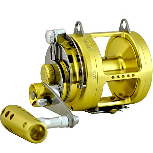 EAT MY TACKLE 30 Wide 2 Speed Fishing Reels on 30-50 Pound Tournament Rods Gold (2 Pack)