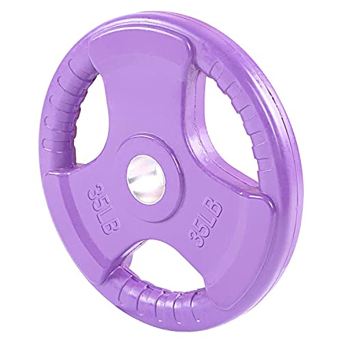 French Fitness Rubber Grip Olympic Plate Set 450 lbs (New)