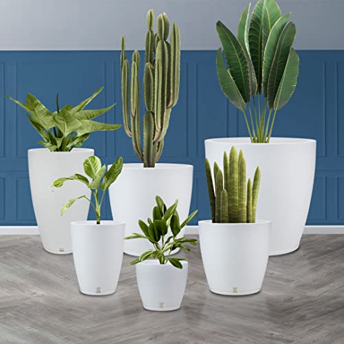 Floridis Planter Set of 6 Outdoor Indoor High Density Polyethylene White