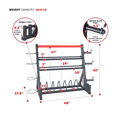 Sunny Health & Fitness All-In-One Weights Storage Rack Stand Black