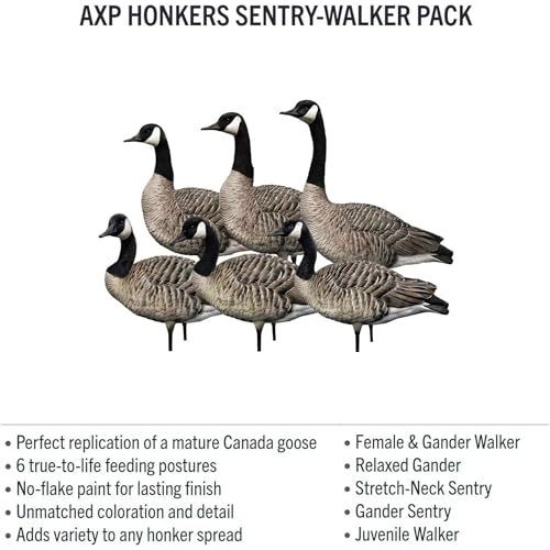 Avian-X AXP Specklebelly Decoy Fusion Pack 12 Pack