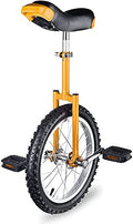 JINCAN Unicycle 20-Inch Balance Bicycle with Anti-Skid Tires