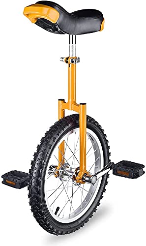 JINCAN Unicycle 20-Inch Balance Bicycle with Anti-Skid Tires