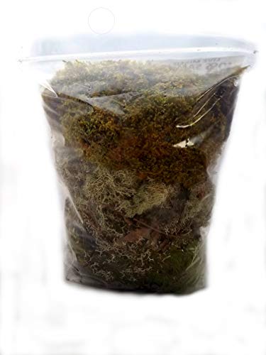 EZ Botanicals Live Mixed Moss Sampler - Premium Terrarium Grade - Pest Free 100 Quart