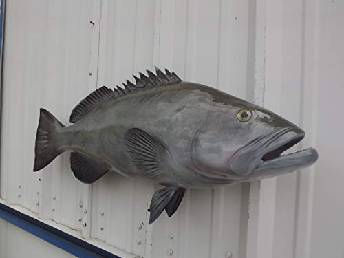 Mount This Fish Company 38" Gag Grouper Wall Mount Fish Replica Trophy Natural