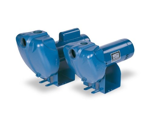 Pentair DS3HG-01 High Head Centrifugal Pool Spa Pump 2 HP