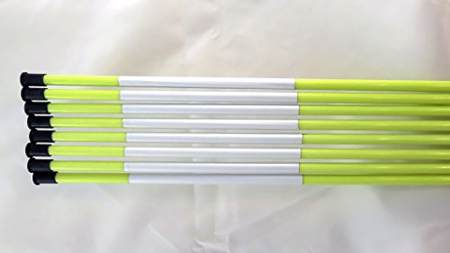 Stakemakers Driveway Marker Snow Stakes Reflective Tape 5/16" Diameter x 48" Fiberglass Neon Green 1000-Pack