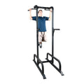 BSN Chin/Dip Station Gray