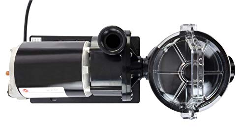 Rx Clear Patriot 24-Inch Sand Filter with 250 Lb Sand Capacity for Above Ground Swimming Pools | 2 HP Niagara Pool Pump Clear