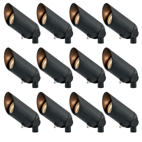 Hinkley 12V MR16 Accent Spot Light Set of 12 Satin Black
