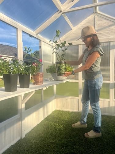 Zylina XL Hobby Greenhouse White 103"x78"x89