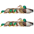 Avian-X AXP Full Body Mallards Decoy 18 Pack Multicolor