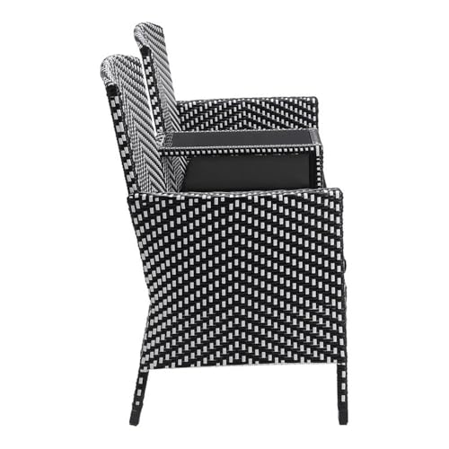 Furniture of America Azur Rattan 2-Piece Loveseat and Trash Can Set Black