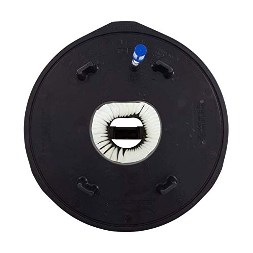 Pentair D.E. Element Replacement Filter