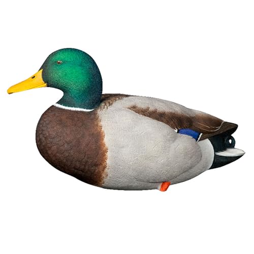 Avian-X AXP Full Body Mallards Decoy 18 Pack Multicolor