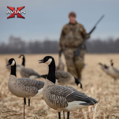 Avian-X AXF Lessers Full Body Goose Hunting Decoys 12 Pack Multicolor