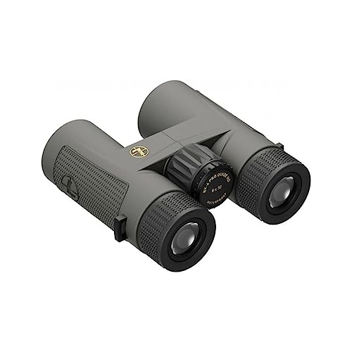 Leupold BX-4 Pro Guide HD Binocular 8x32mm Gray