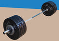TDS 300 lb Olympic Weight Set with Bumper and Iron Plates