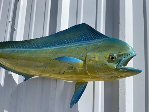 Mount This Fish Company 37" Two Sided Cow Dolphin Wall Mount Fish Replica
