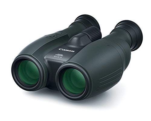 Canon Image Stabilizing Binoculars 10X32 Black