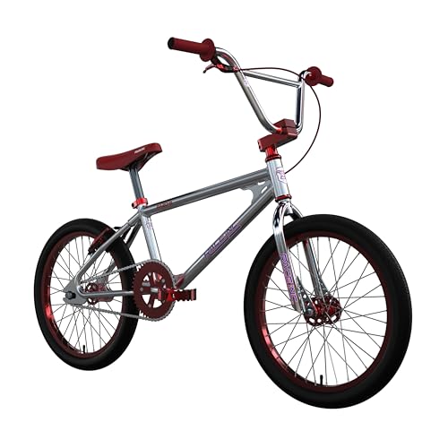 Race Inc. RA20-R BMX Bike Retro 20