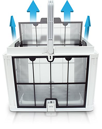 Dolphin Quantum Robotic Inground Pool Cleaner