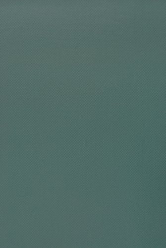 GLI Pool Products HyPerLite 16x32 Ft Rectangular Solid Safety Cover System with 4x8 Ft Left Step 1 Ft Offset & Kleen Screen Drain Green