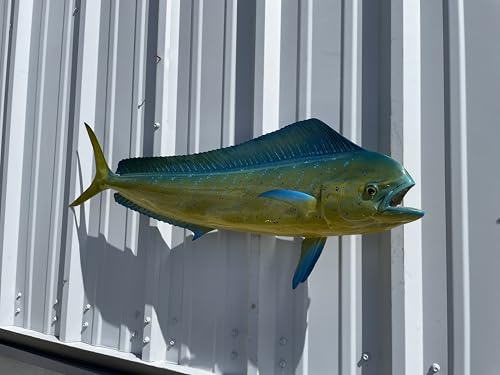 Mount This Fish Company 37" Two Sided Cow Dolphin Wall Mount Fish Replica