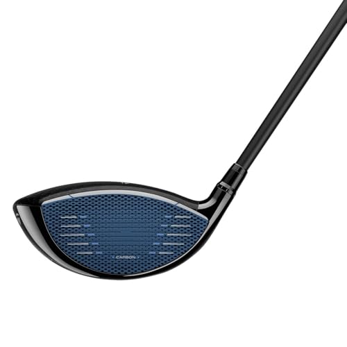 TaylorMade Qi10 LS Golf Driver Custom Silver