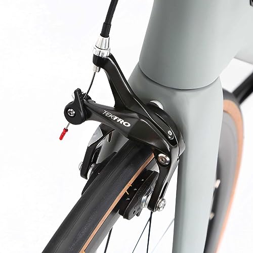 Hearts Bio Carbon Road Bike Model H Tiagra 20s - HeartsGray