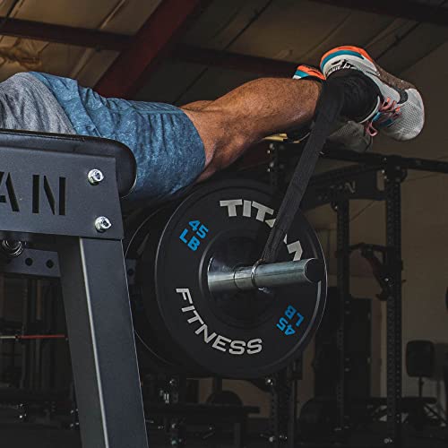 Titan Fitness H-PND Reverse Hyperextensions Lower Body Machine 550 LB Rated