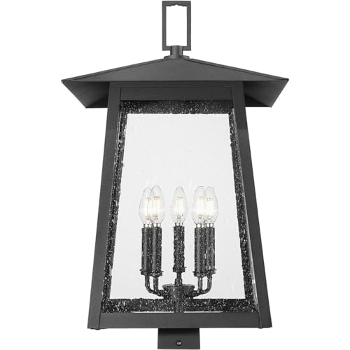 Z-Lite Rainer 5 Light Post Light 26" Tall Black