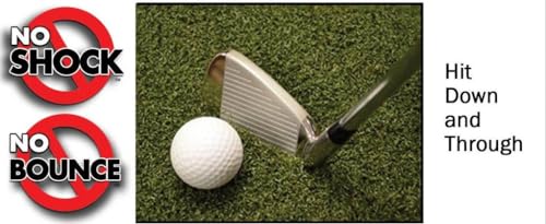 Big Moss Golf True Launch Plus Hitting Mat 5' x 10' Multicolor