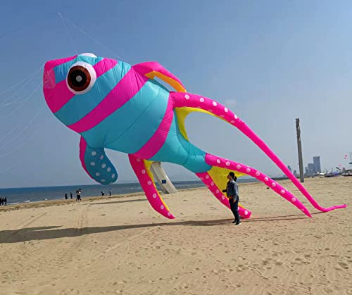 Yingfeida Colorful Soft Inflatable Cardinal Fish Kite Pendant Blue Pink