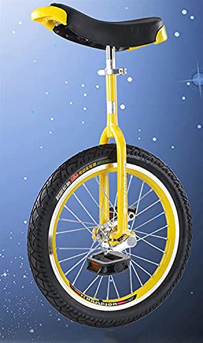 JINCAN 24" Unicycle Freestyle Cycling Pedal Bicycle Outdoor Balance Sports