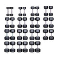 REP Rubber Hex Dumbbell Set 5-75 lb Low Odor Set B