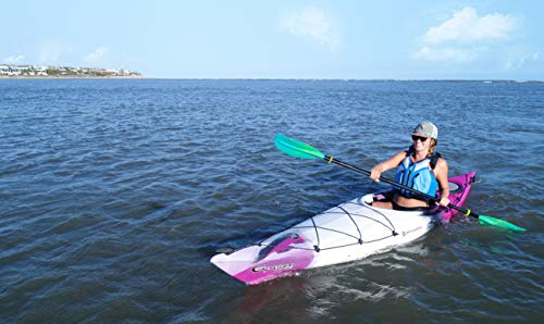 Perception Kayaks Expression 11.5 Sit Inside Kayak Funkadelic