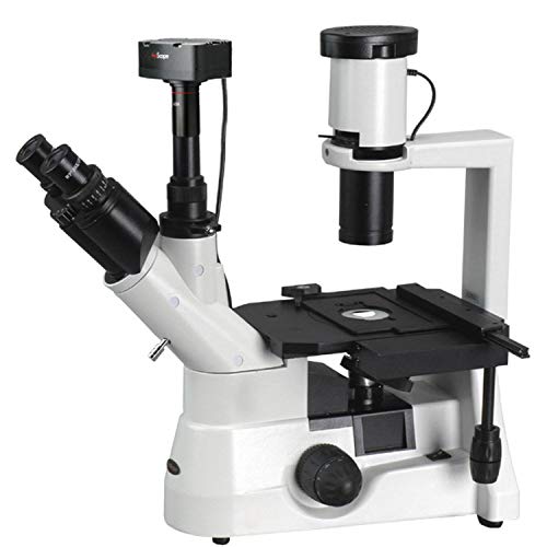 AmScope Digital Inverted Trinocular Microscope 40x-1000x White