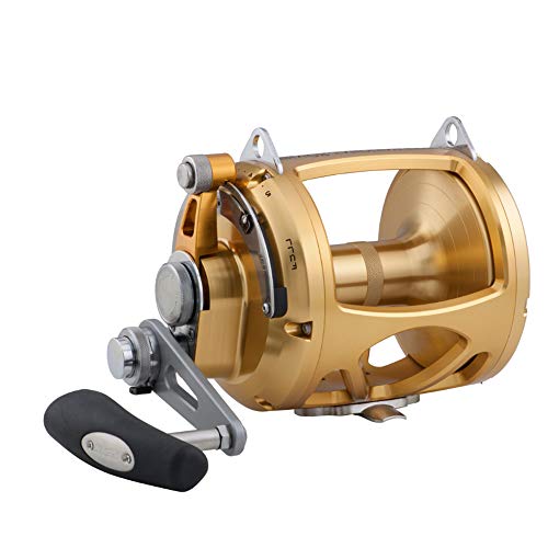 PENN INT80VISW International Lever Drag 2-Speed Saltwater Reel Gold