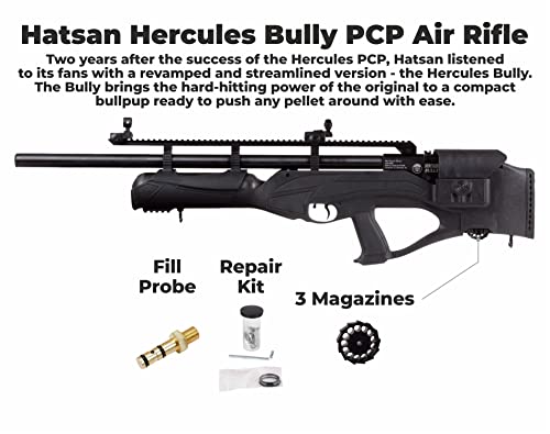 Wearable4U Hatsan Hercules Bully .35 Cal Air Rifle Bundle with 100 Pellets and Targets Black