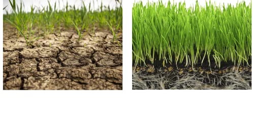 SOIL MOIST SAP Super Absorbent Polymer Garden and Lawn Soil Treatment White