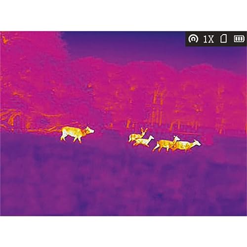 AGM Global Vision Taipan 15-384 Thermal Imaging Monocular White Hot, Black Hot, Red Hot, Fusion
